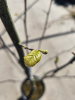 13558